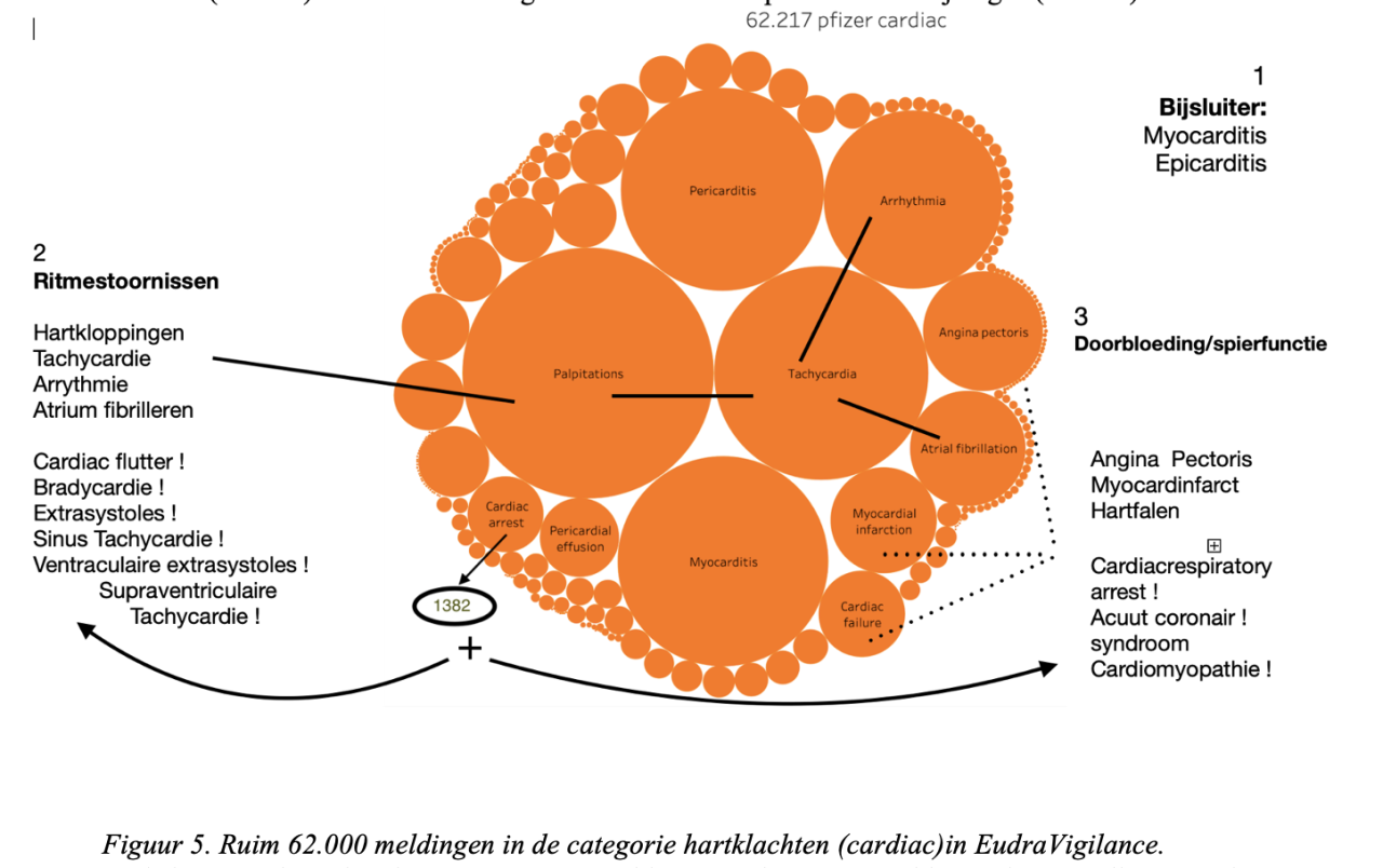 Meldingen cardiac cirkels eudravigilance